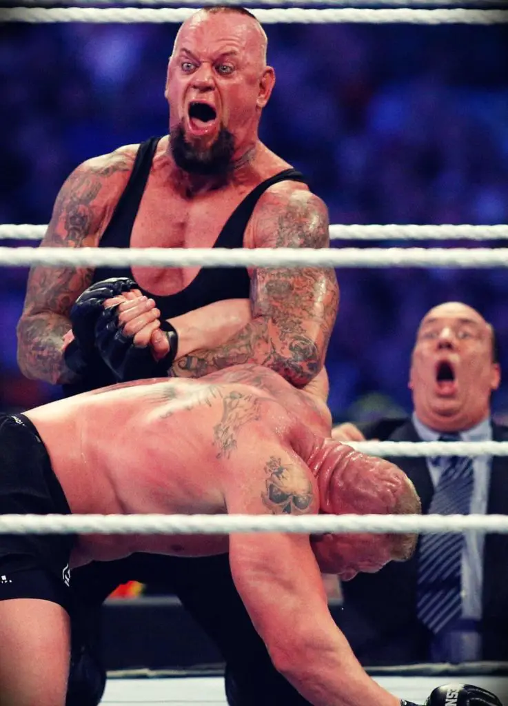 Undertaker Versus Brock Lesnar in WrestleMania 30