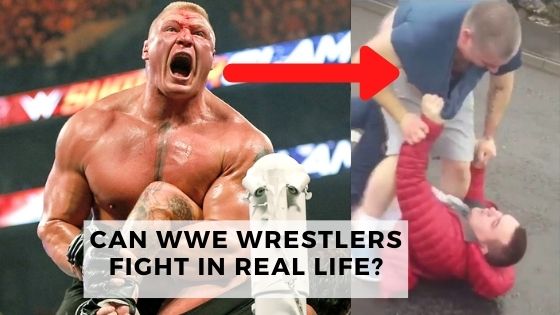 Can WWE Wrestlers Fight In Real Life?