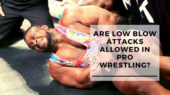 Are Low Blows Allowed in Pro Wrestling?