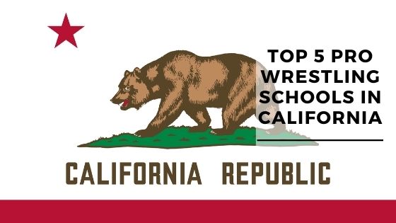 Top 5 Professional Wrestling Schools In California
