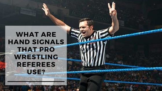 What Are Hand Signals That Pro Wrestling Referees Use?